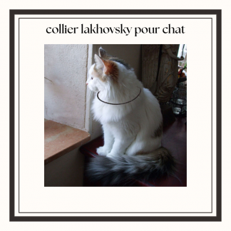 collier cuivre type lakhovsky pour chat ou petit chien
