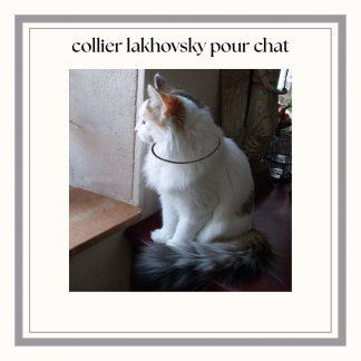 collier 7 métaux type lakhovsky pour chat ou petit chien