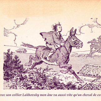 collier 7 métaux de type lakhovsky pour cheval anneaux de vie